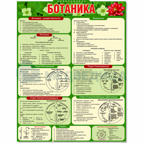 Комплект раздаточных таблиц по биологии
